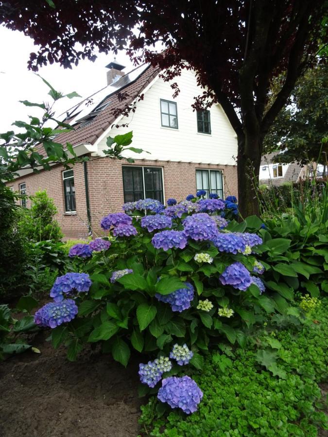 Bed & Breakfast De Vrijheid Ede Esterno foto